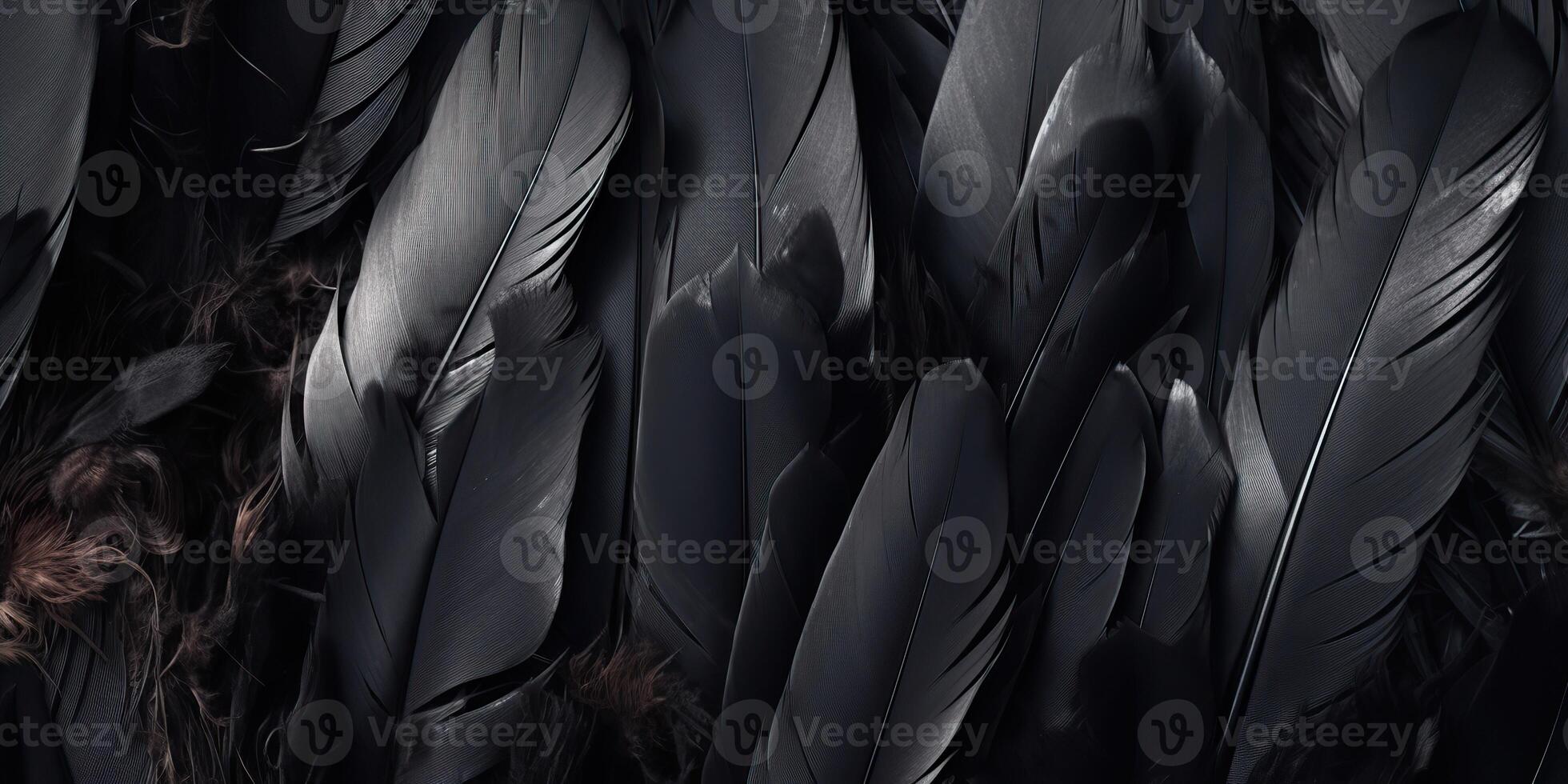 . . Photo realistic black feathers pattern background texture. Ellegant aesthetics luxury vibe. Graphic Art