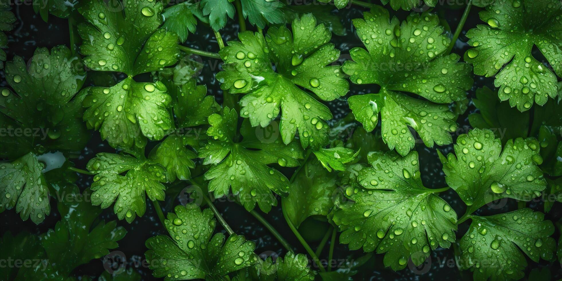 ai generado. ai generativo. verde eco orgánico salud cilantro ensalada hierbas decoración salud estilo de vida onda. gráfico Arte foto