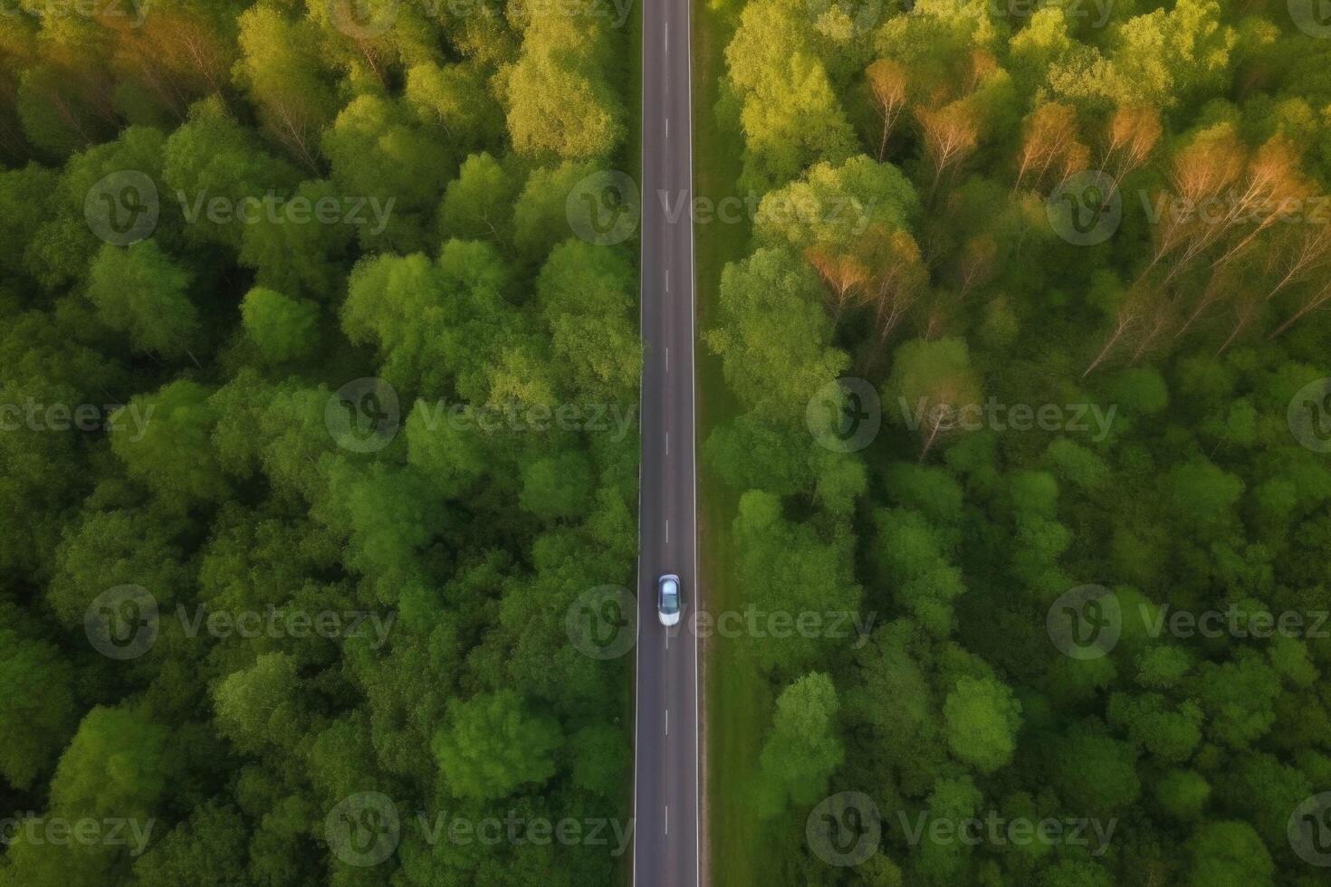 Aerial view road and forest. Road going through forest with car view from above. photo