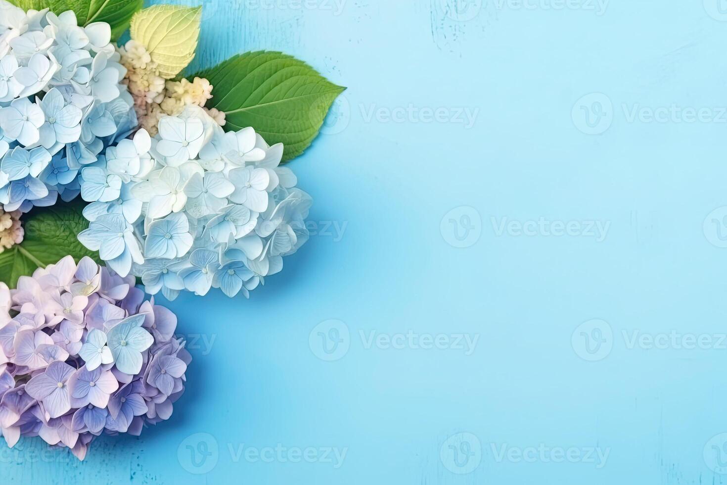 Spring hydrangea flowers bouquet on blue pastel background top view in flat lay style. photo