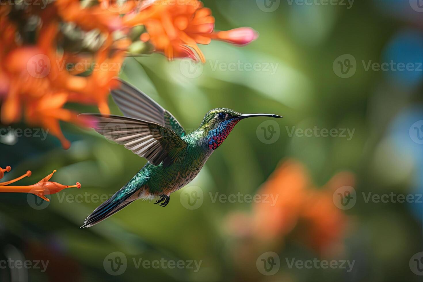 Colored tropical bird and surreal flowers. The hummingbird flies near to flower. photo