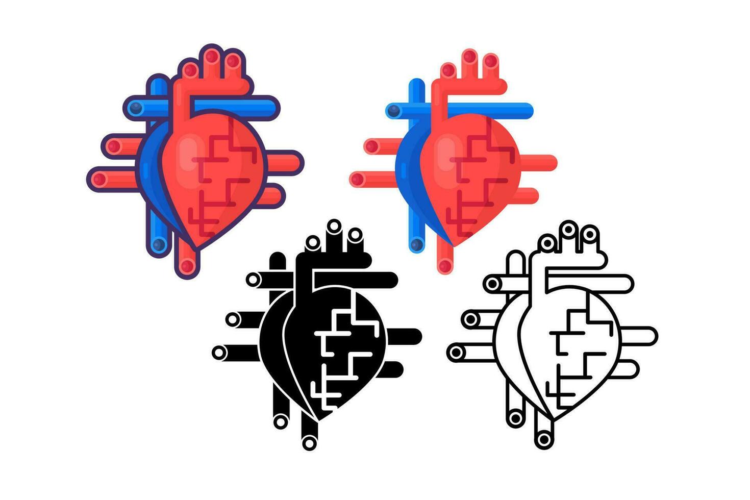 humano sano corazón arterias vasos vector
