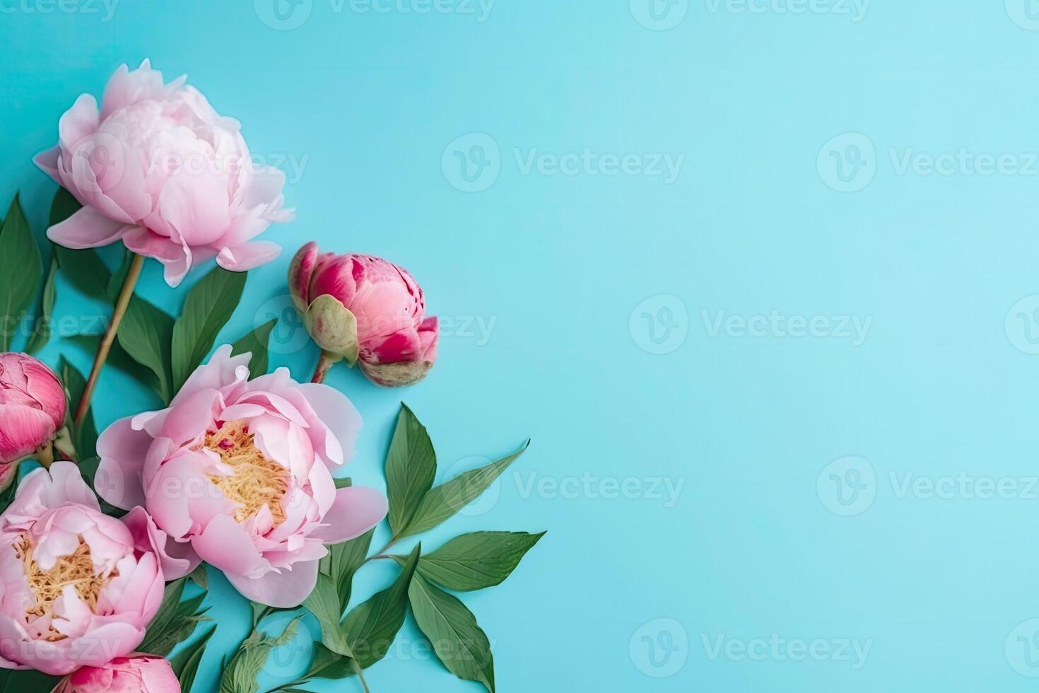 Spring peony flowers bouquet on pastel background top view in flat lay style. photo