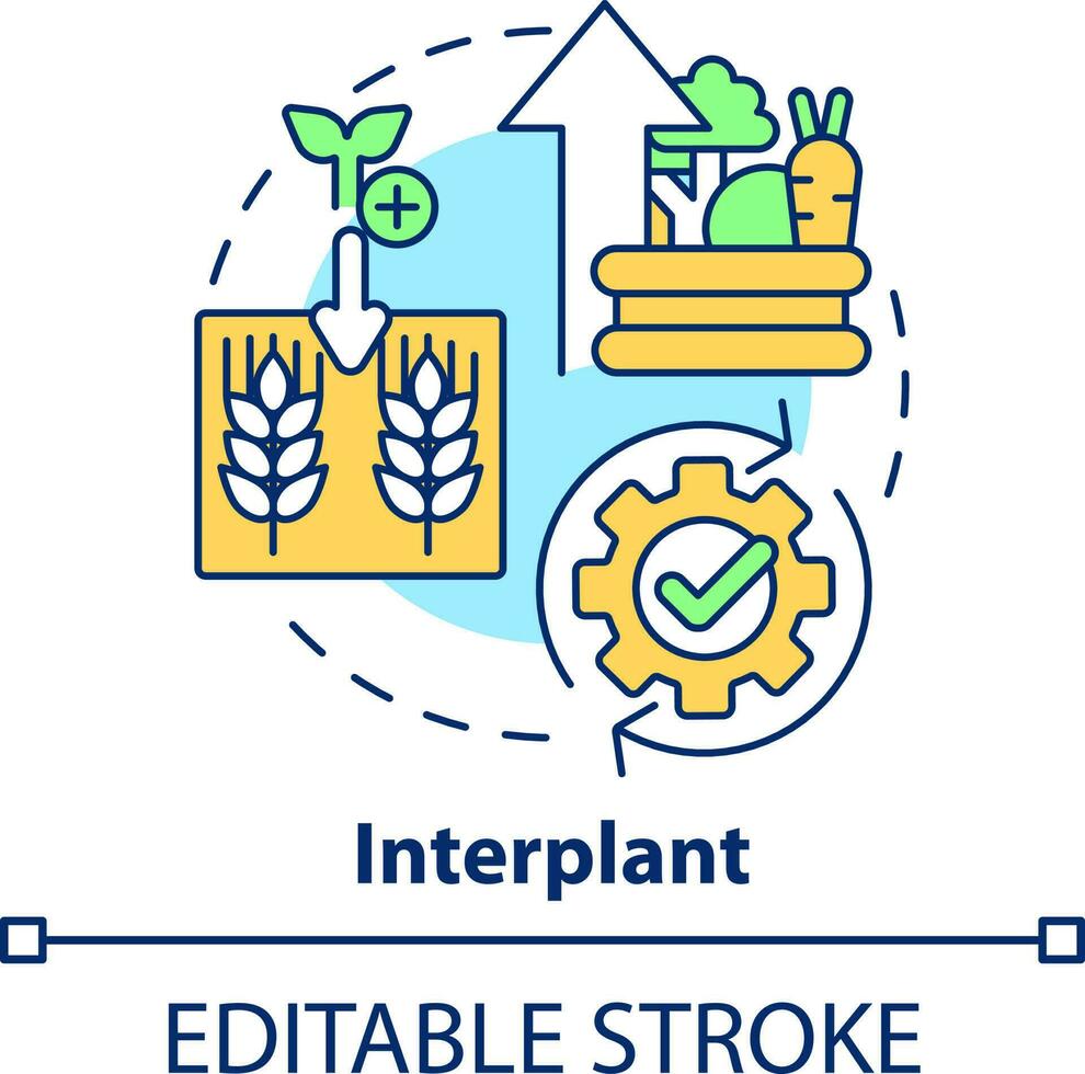 entreplantar concepto icono. planta múltiple culturas creciente agricultura productividad resumen idea Delgado línea ilustración. aislado contorno dibujo. editable carrera vector