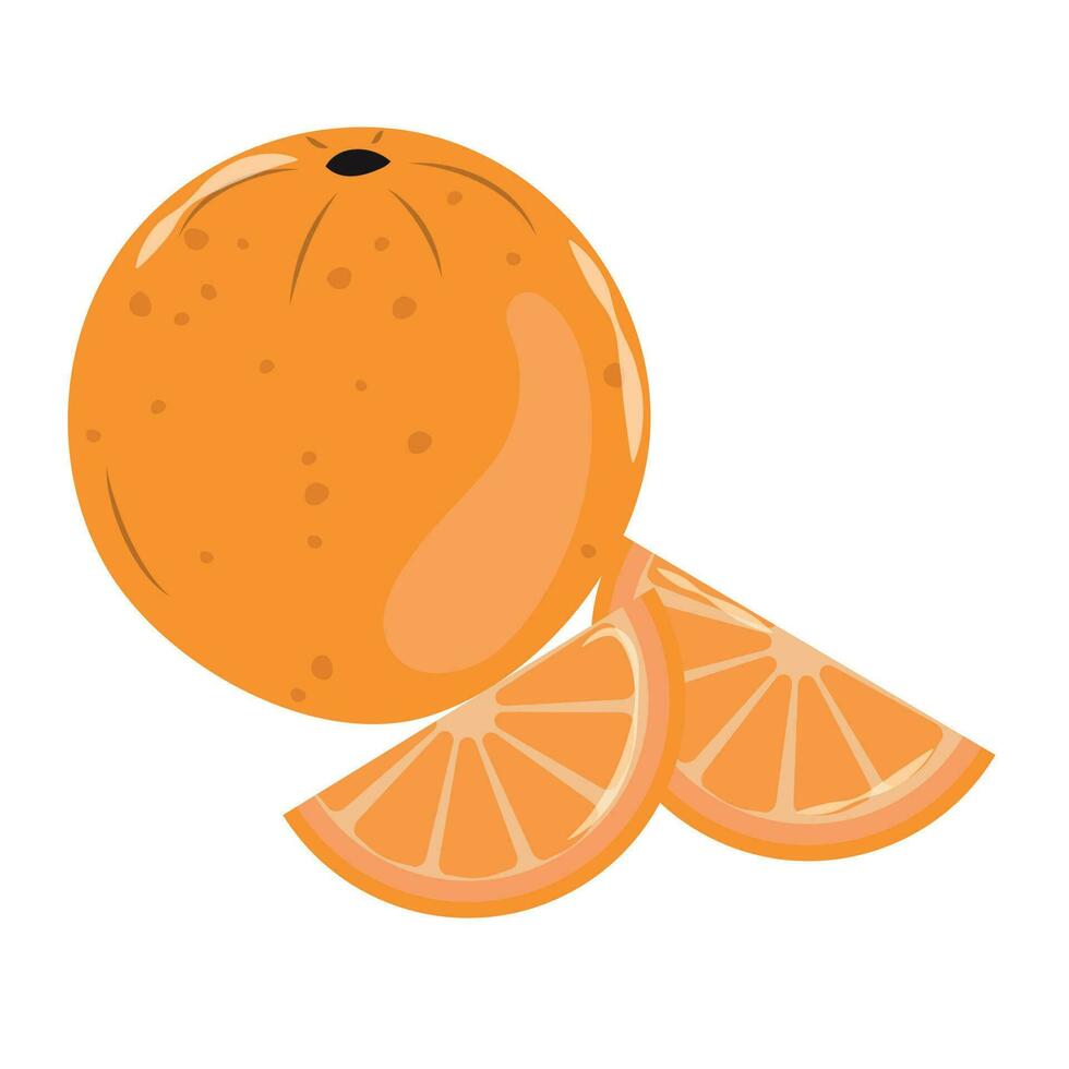Whole orange and cut into halves vector