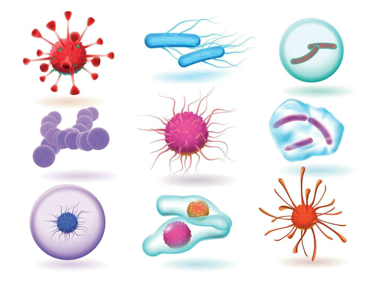 Realistic 3d microbiology bacteria, various virus, nature microorganism and science of microscopic viruses isolated vector set