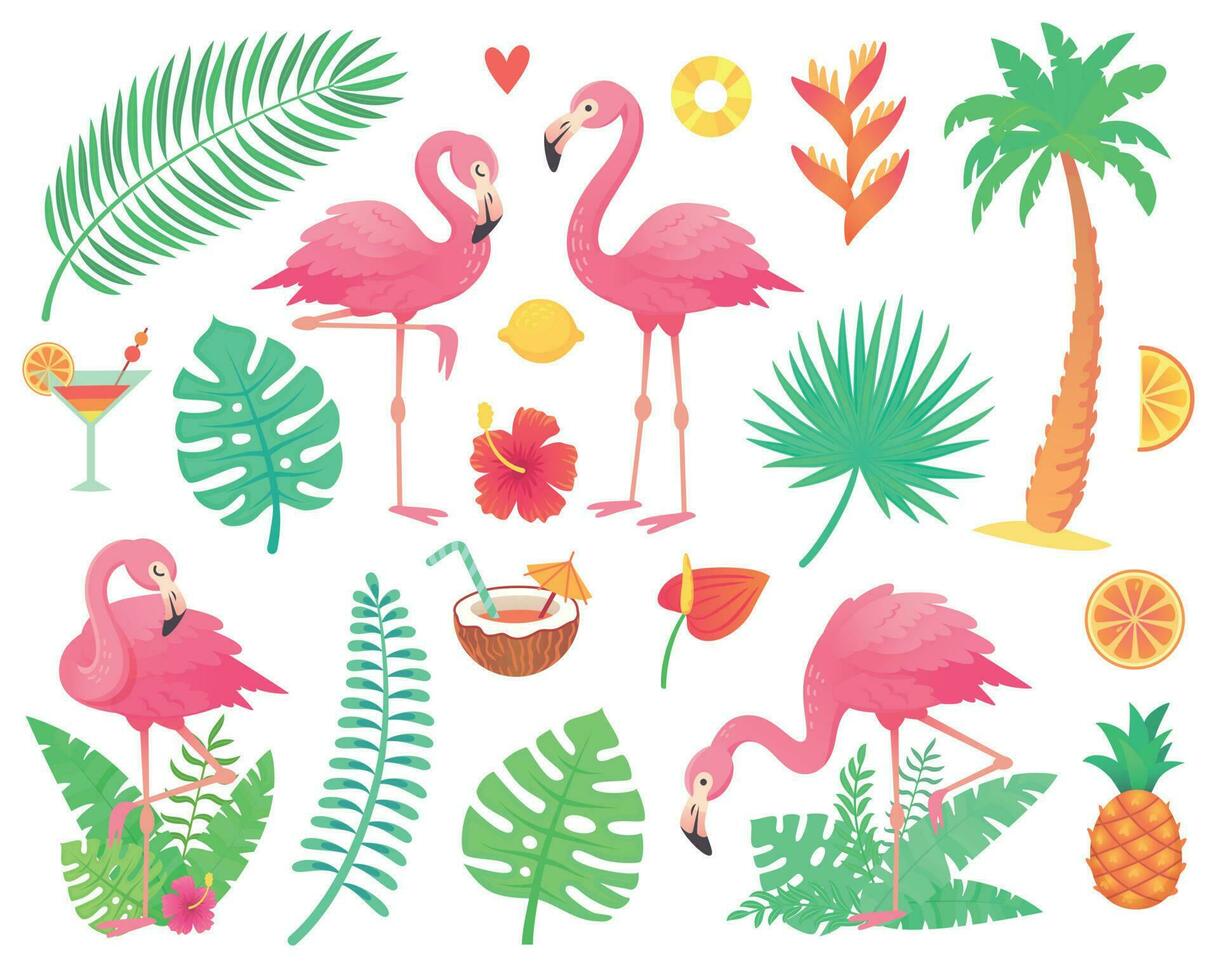 Pink flamingo and tropical plants. Beach palm, african plant leafs, rainforest flower, tropic palms leaf and rosy flamingos vector set