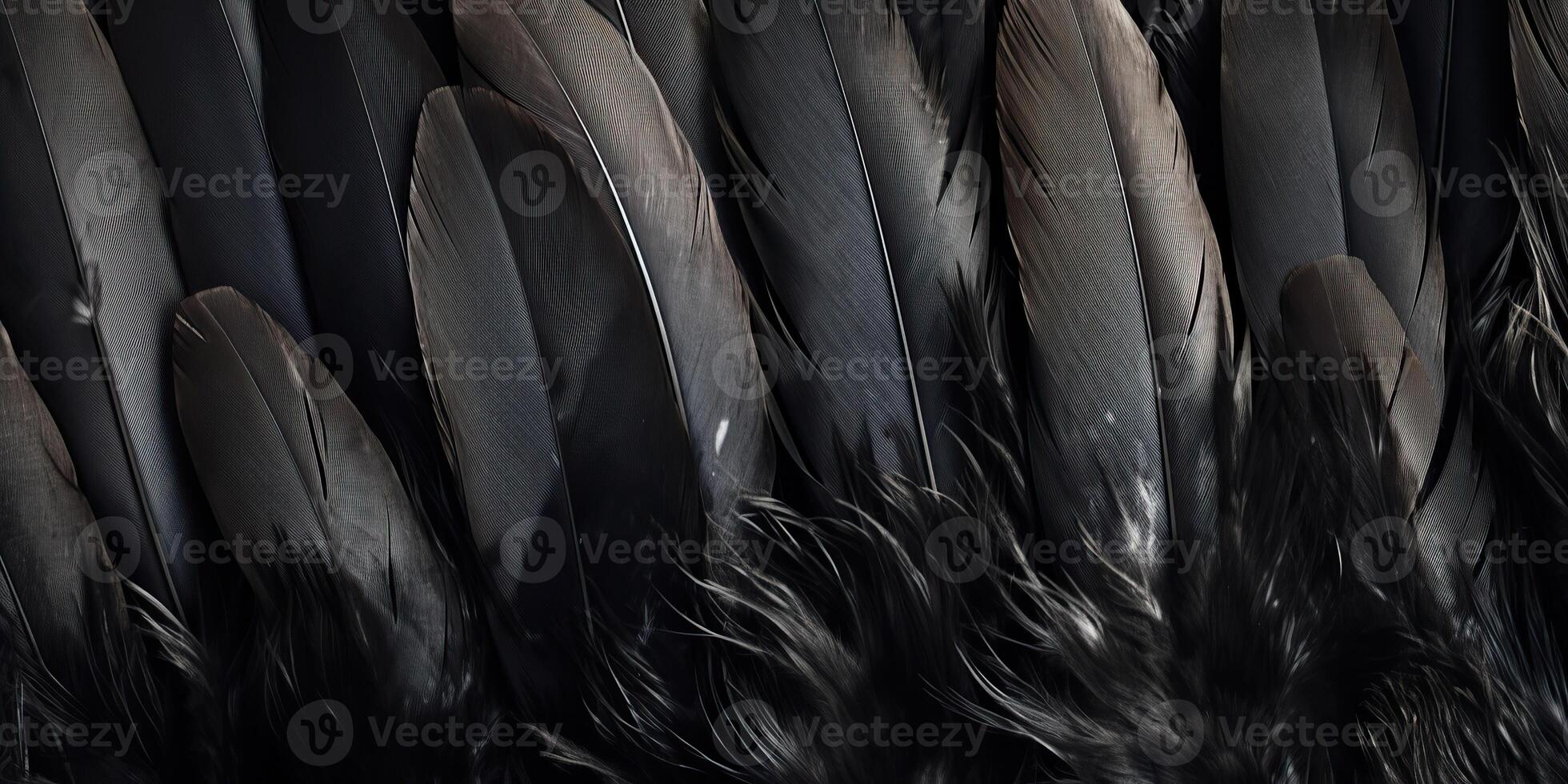 . . Photo realistic black feathers pattern background texture. Ellegant aesthetics luxury vibe. Graphic Art