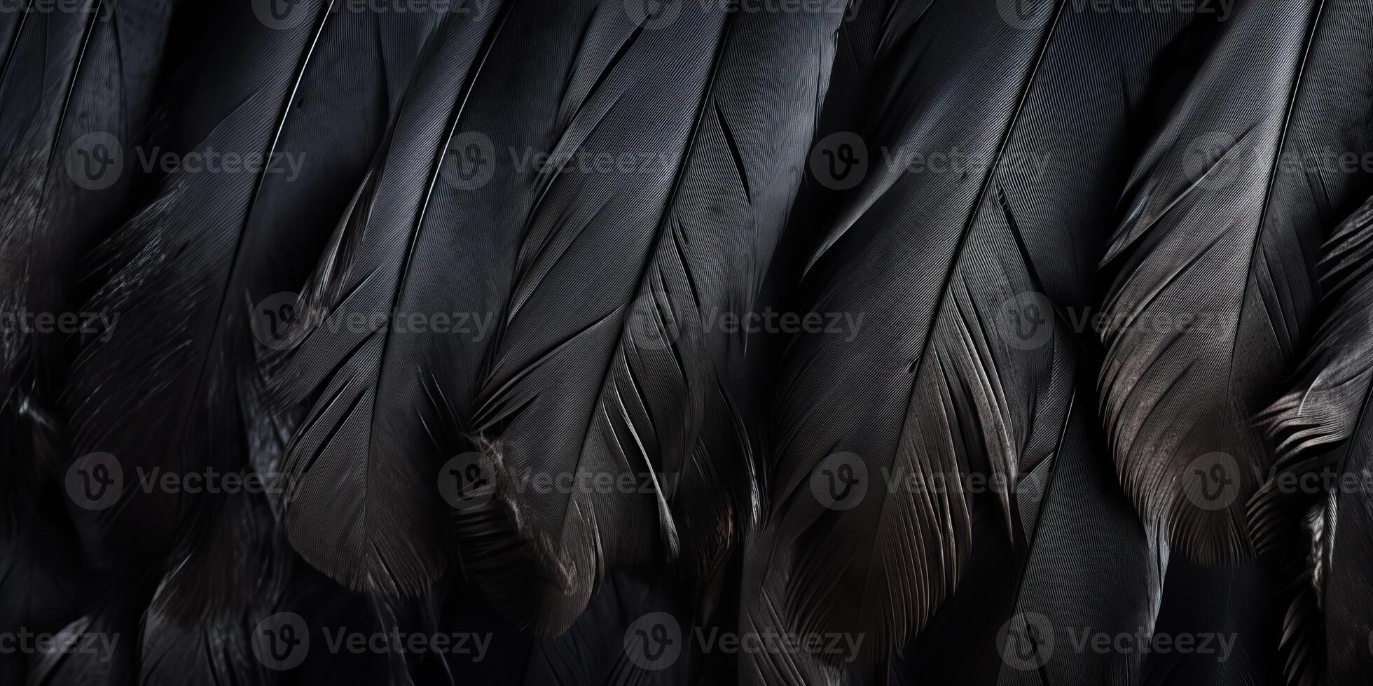 . . Photo realistic black feathers pattern background texture. Ellegant aesthetics luxury vibe. Graphic Art