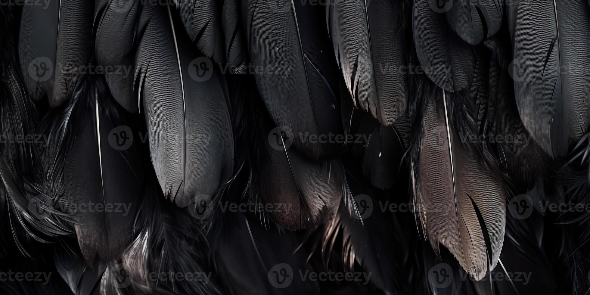 . . Photo realistic black feathers pattern background texture. Ellegant aesthetics luxury vibe. Graphic Art