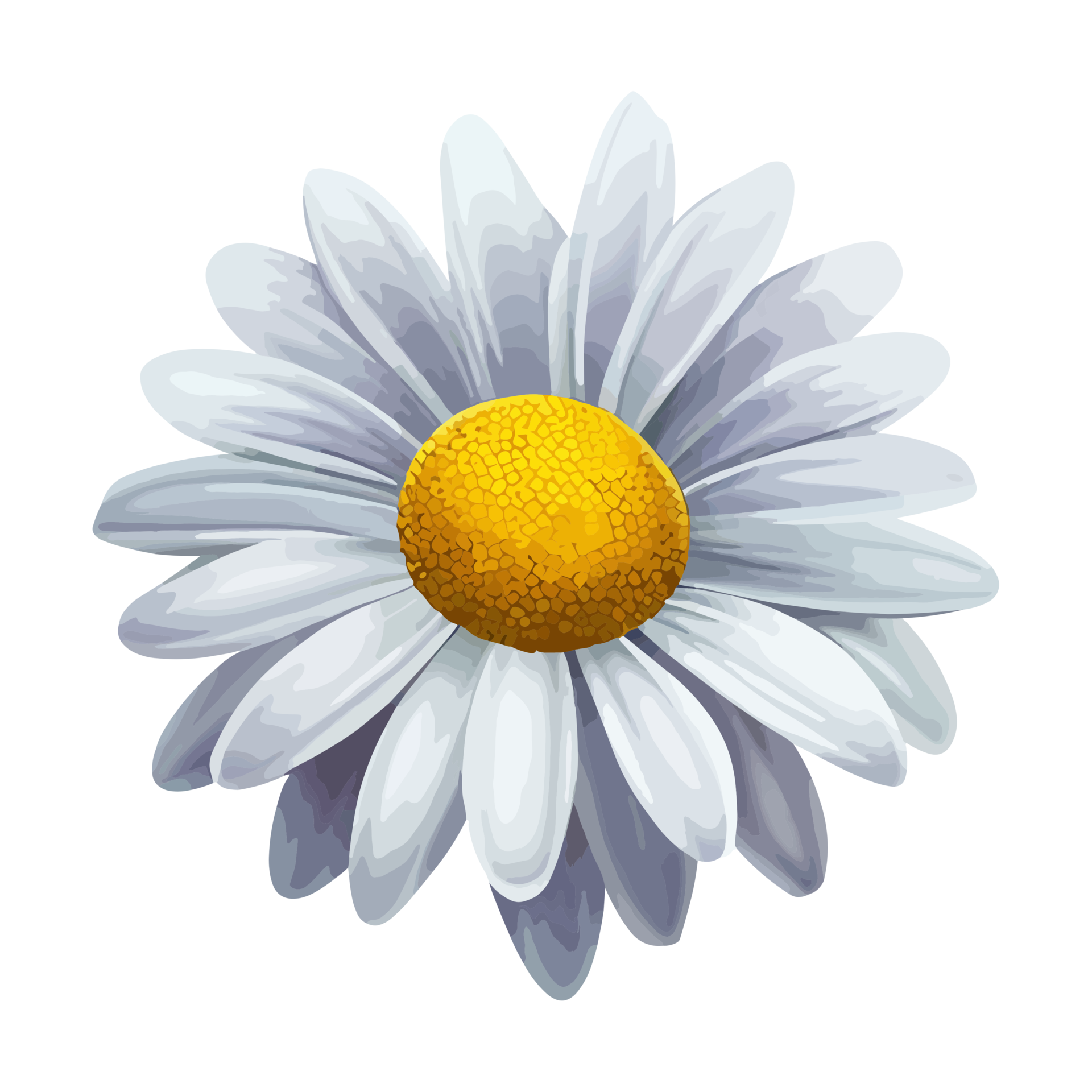 Daisy Flower Icon Png Clipart Free