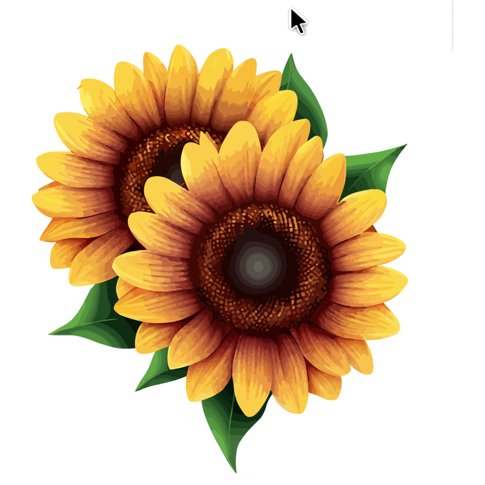 Sunflower icon png clipart free