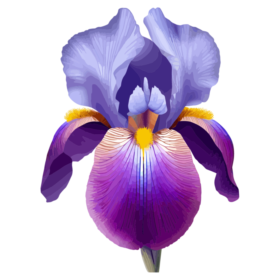 iris icona png clipart gratuito