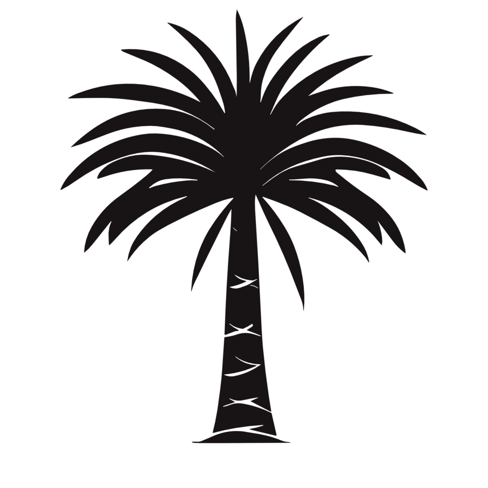 Datum Palme Baum png zum kostenlos