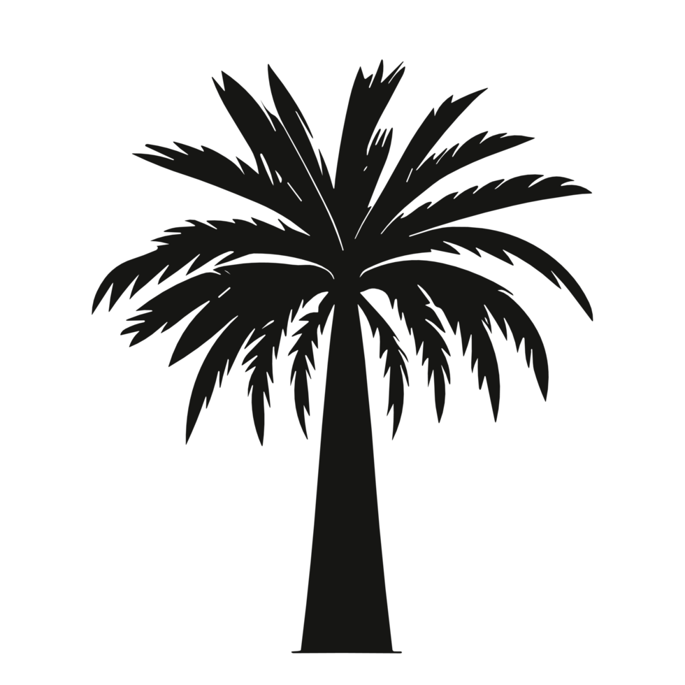 Palm Trees Drawing Black And White Date Palm Tree Black And White Without Background For Free Free Png
