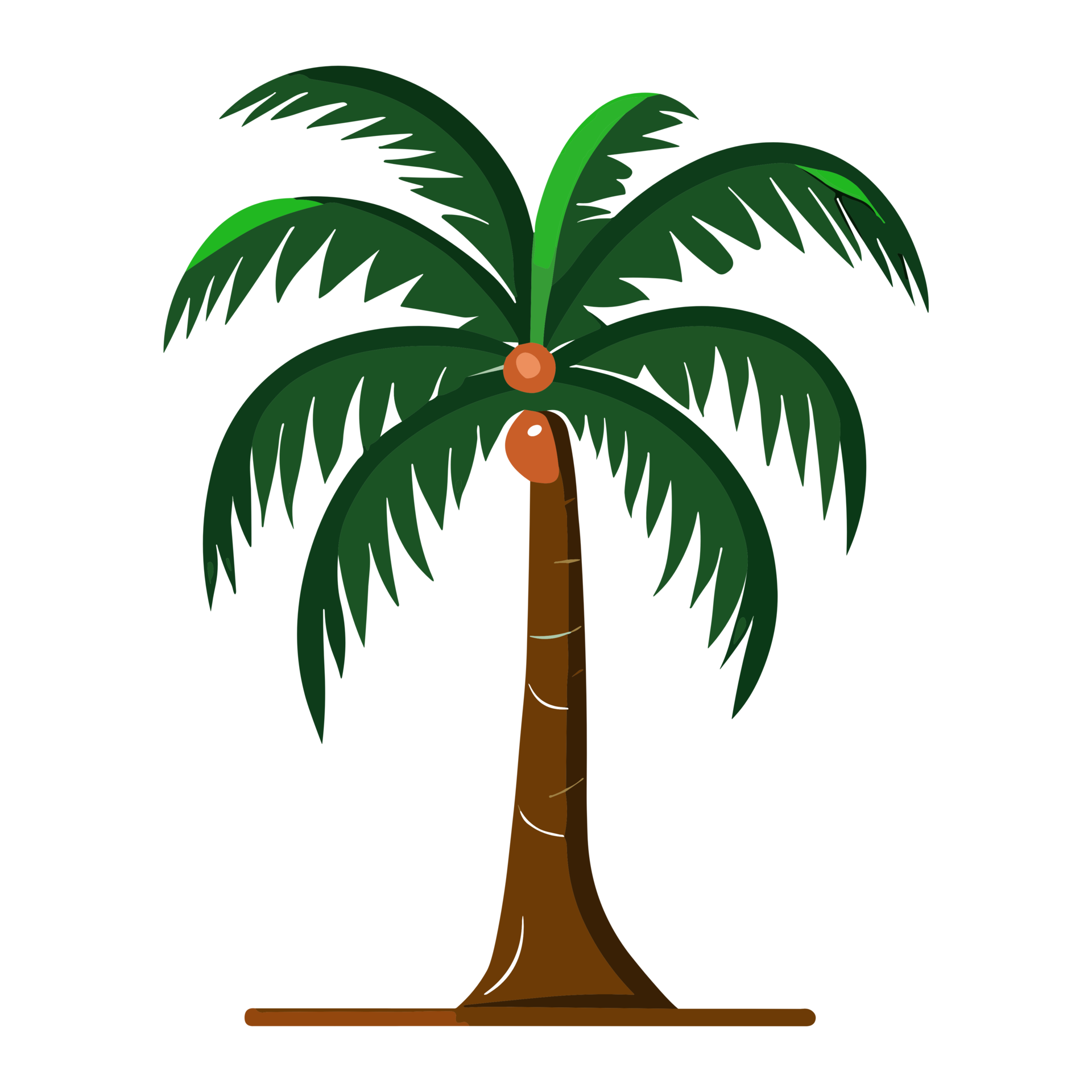Drawing Coconut Tree png clipart transparent background free 23790890 PNG