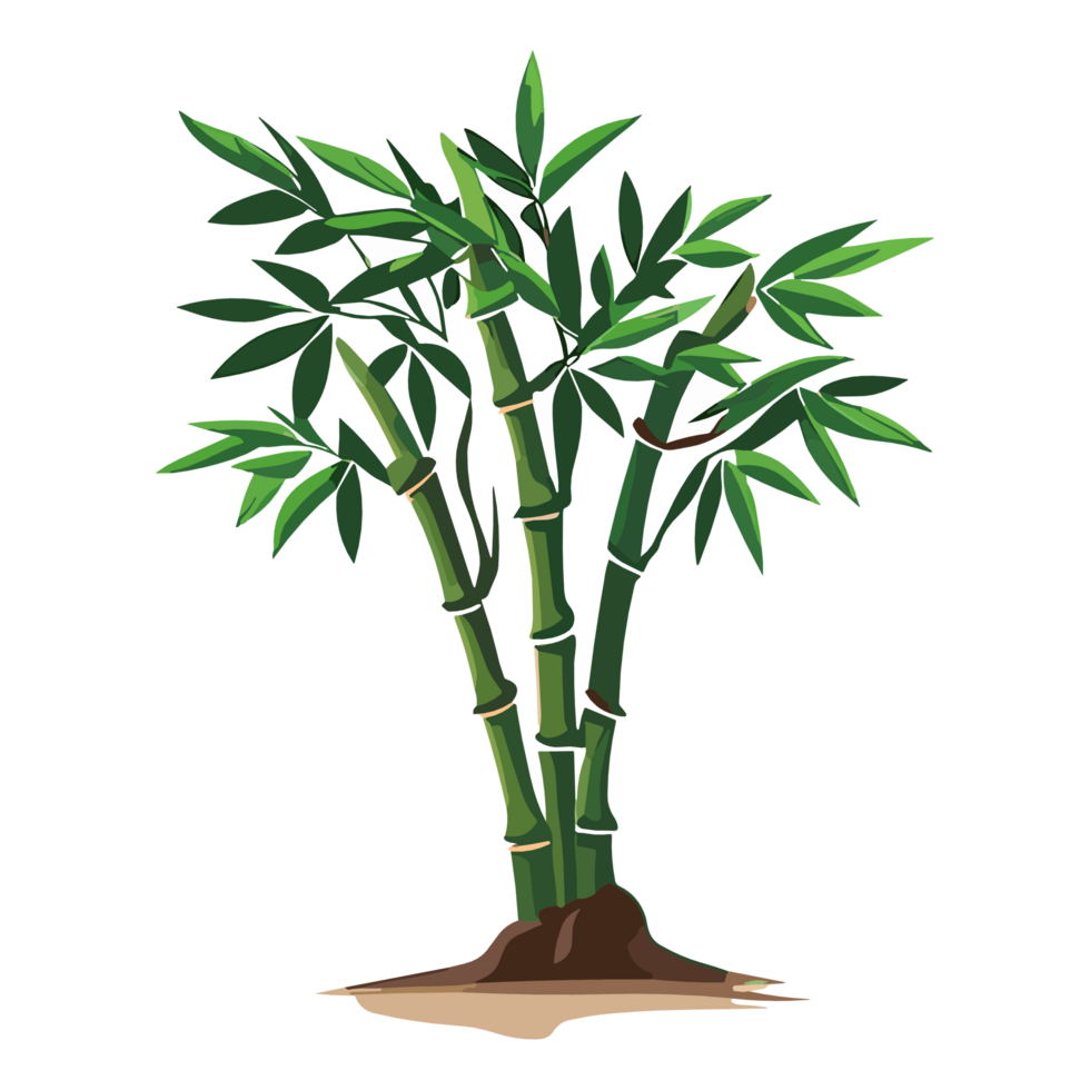 Bamboo Tree clipart transparent background free png