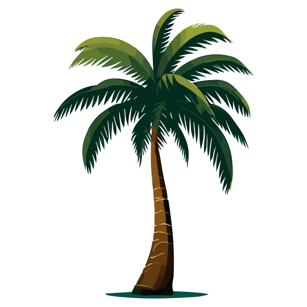 illustratie kokosnoot boom PNG clip art transparant achtergrond vrij