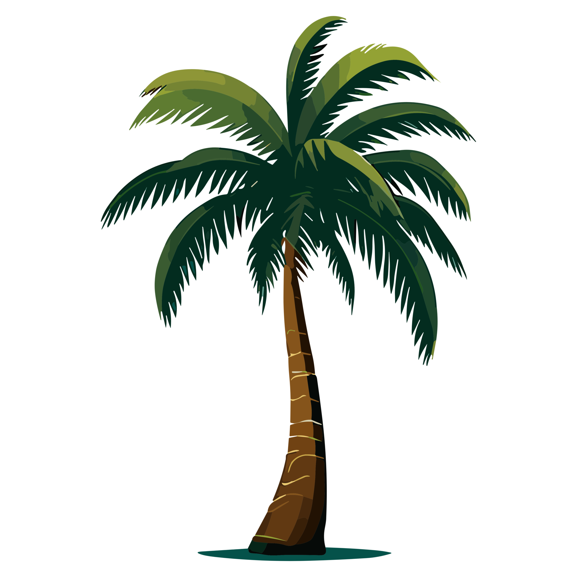 Ilustra o Coco rvore Png Clipart Transparente Fundo Livre 23790911 PNG coconut-custard-pie-recipe-jessica-gavin