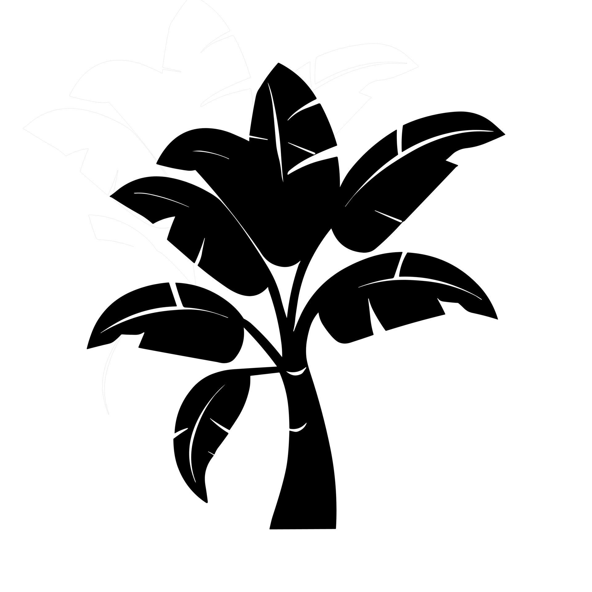 Banana Tree black and white png clipart transparent background free