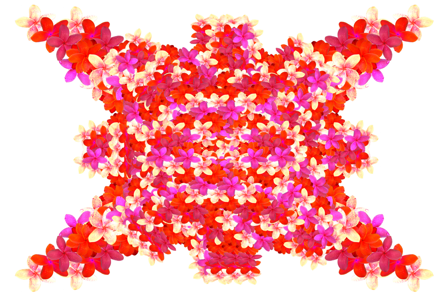form flower build pattern structure png