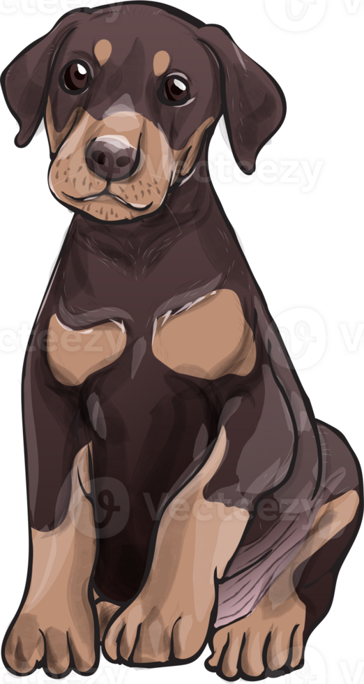 honden puppy portret waterverf realistisch PNG illustratie