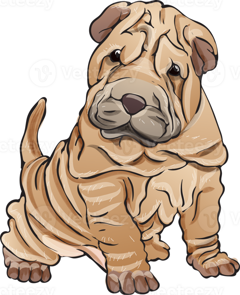 chiens chiot portrait aquarelle réaliste png illustration