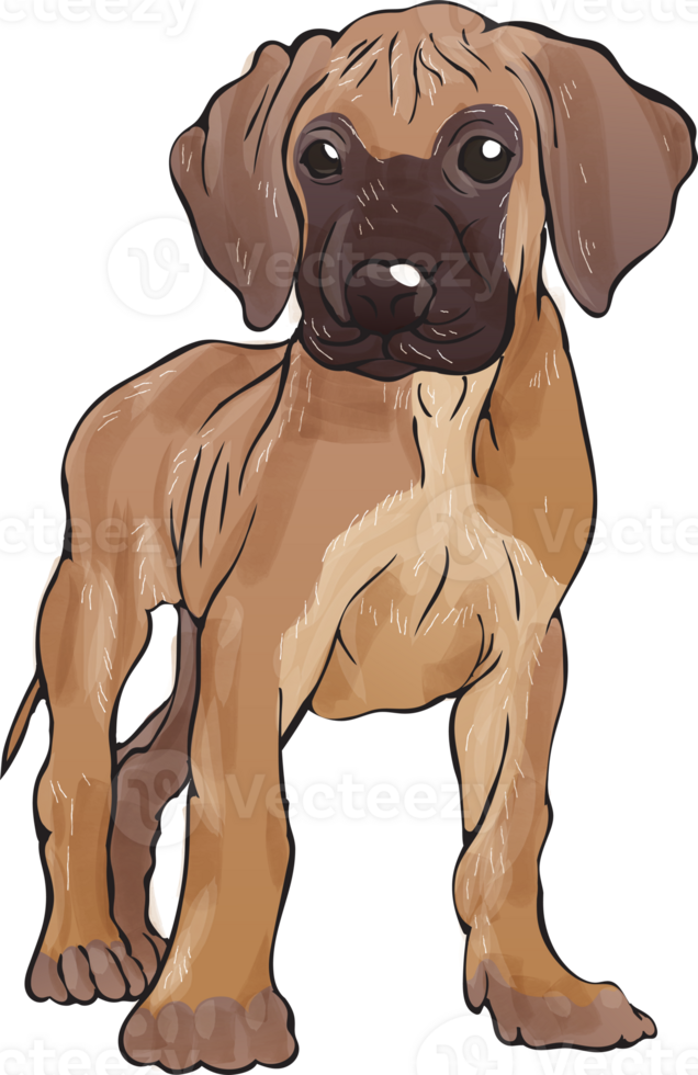 dogs puppy portrait watercolor realistic png illustration