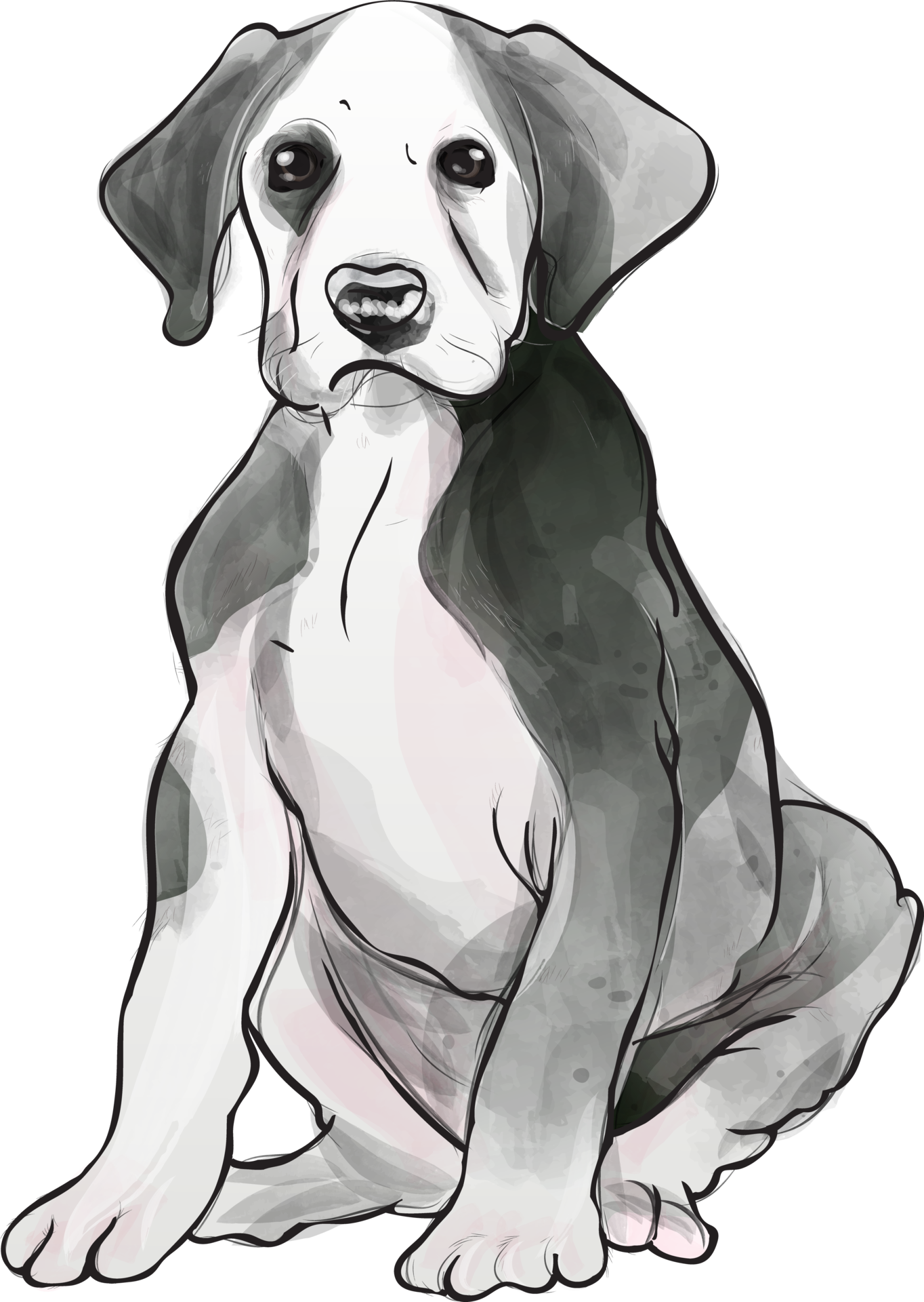 Dogs Puppy Portrait Watercolor Realistic Png Illustration 23791308 PNG dogs-puppy-portrait-watercolor-realistic-png-illustration-23791308-png