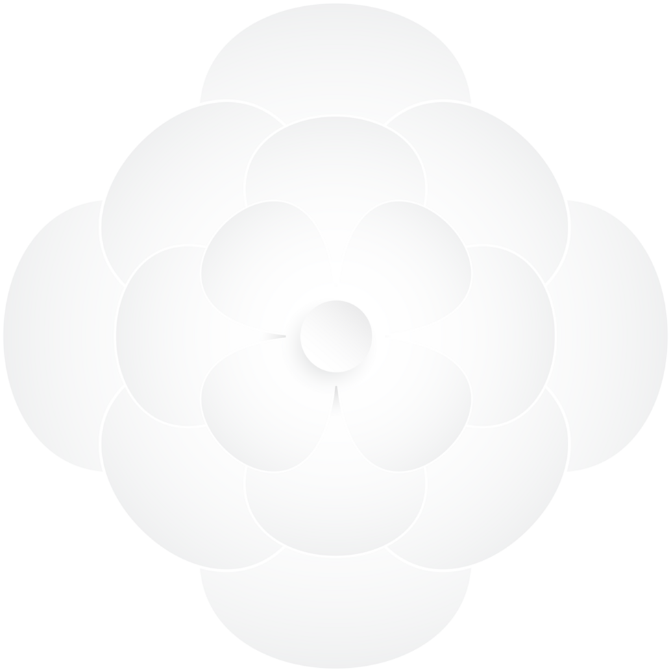 Flower, Element of floral paper cut. Paper cut of flower shape and spring symbol. png
