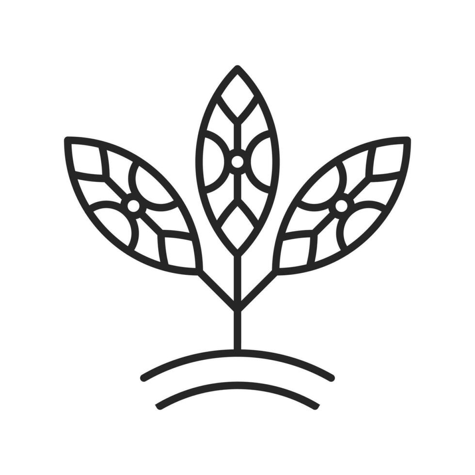 Logotipo de planta en crecimiento de plántulas de 3 hojas verdes. vector
