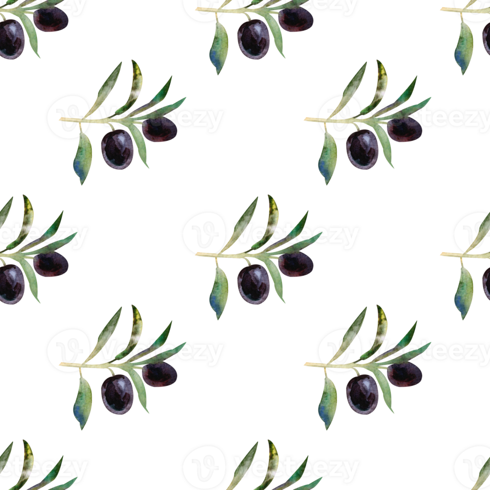 Watercolor botanical seamless pattern with olives branches png
