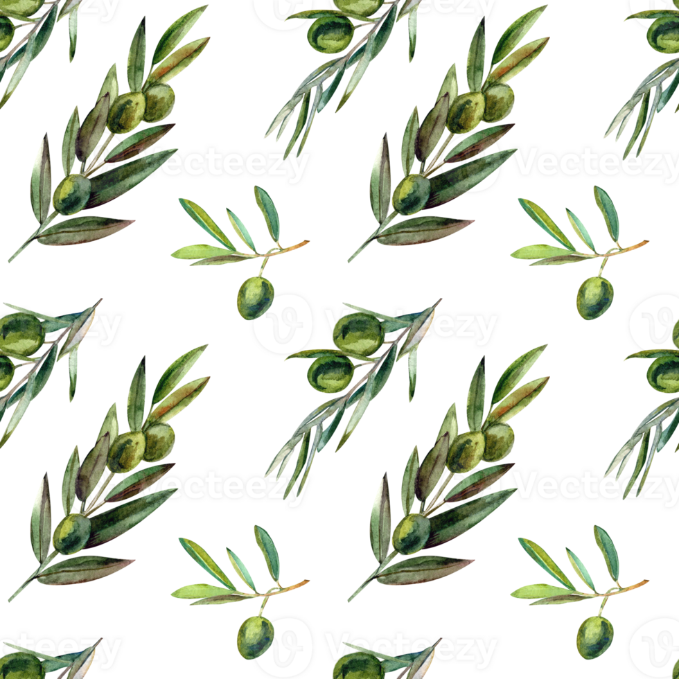 Watercolor botanical seamless pattern with olives branches png