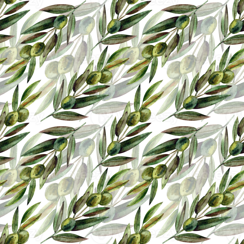 Watercolor botanical seamless pattern with olives branches png