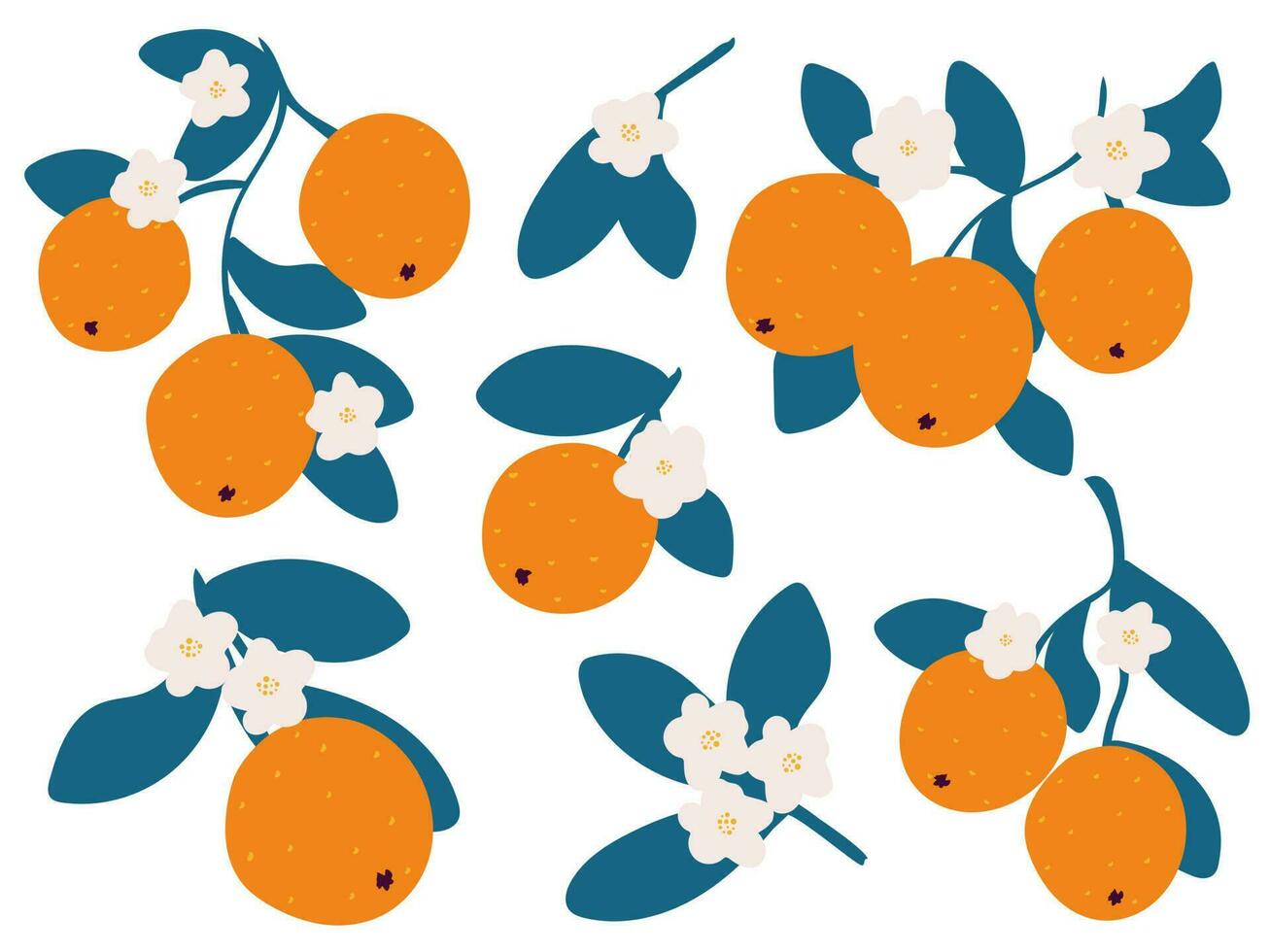 Fresh oranges hand drawn set vector