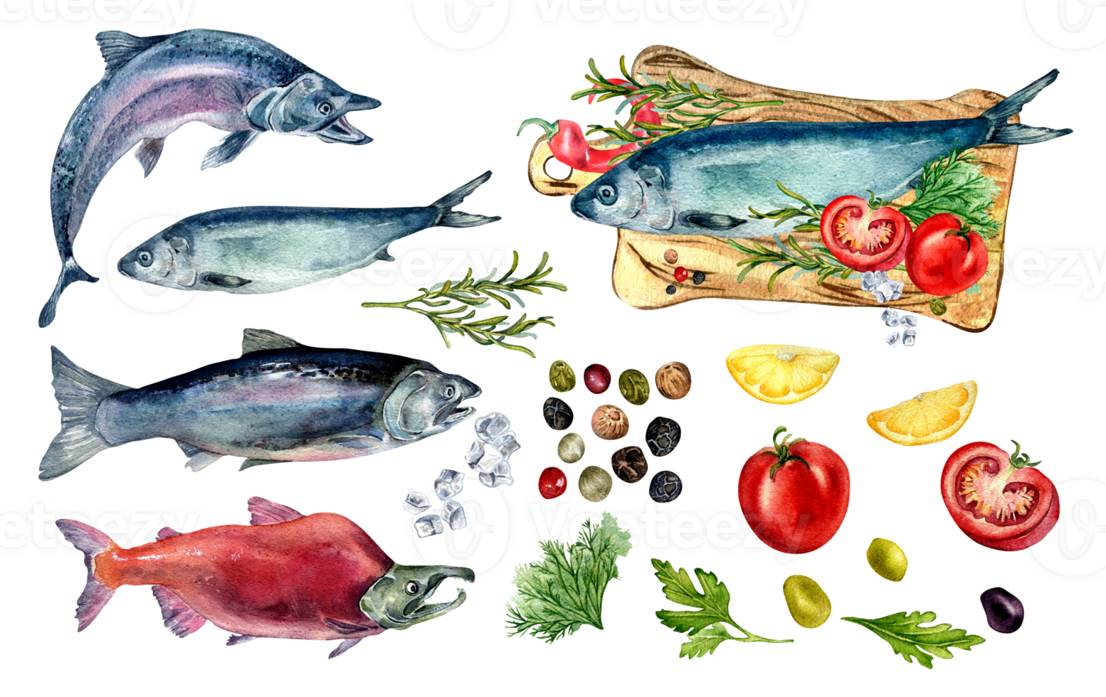 Set of salmon, herring and herbs watercolor. Sea fish, trout, chum, peppercorns , lemon, tomatoes and olives hand drawn. Design element for cookbook, menu, wrapping, package, signage png