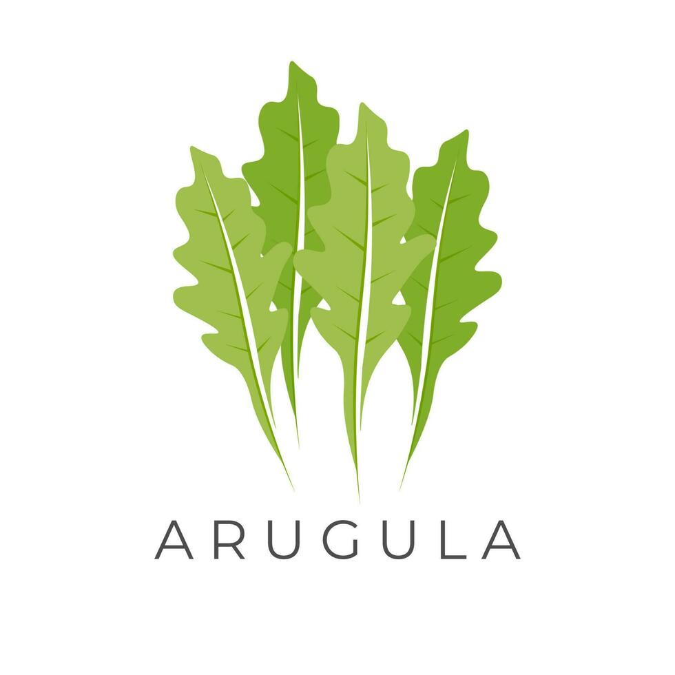 Fresh Arugula Vector Illustration Logo