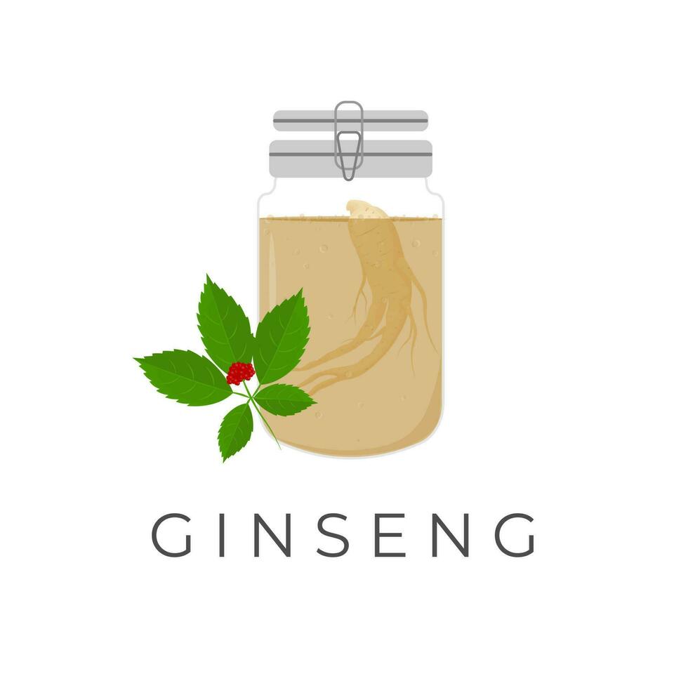 panax ginseng raíz ilustración logo en un vaso tarro vector