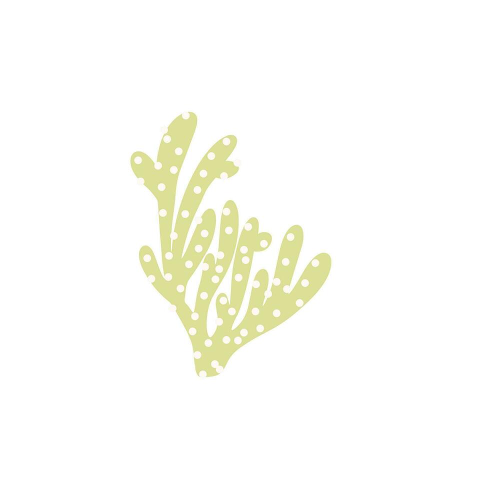 Coral. Underwater element. Vector illustration in scandinavian style. Sea ocean.