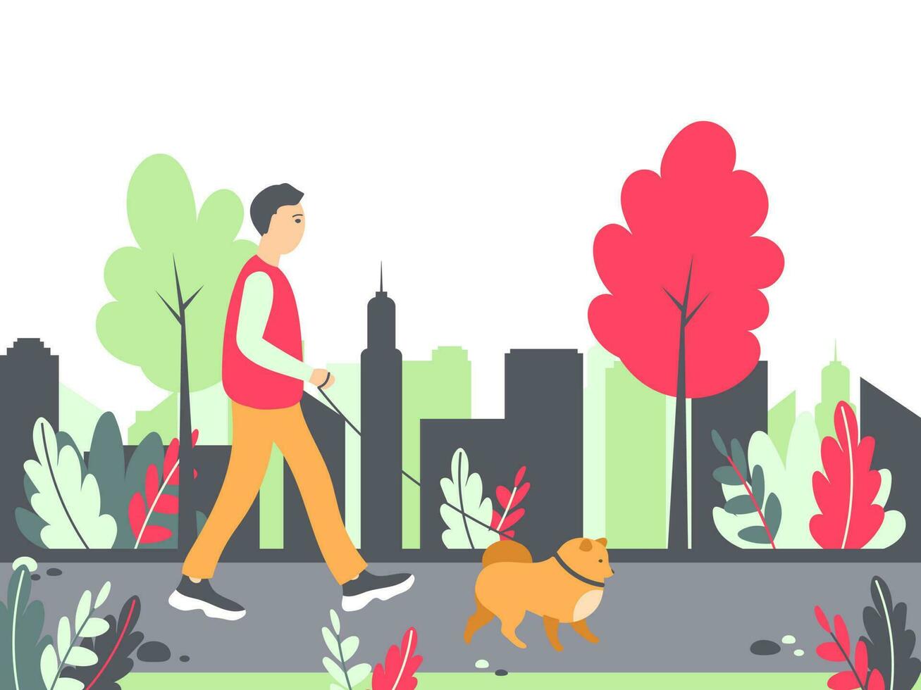 Man walking a dog in the park with the city landscape in the background. Vector illustration with a man and pomeranian.