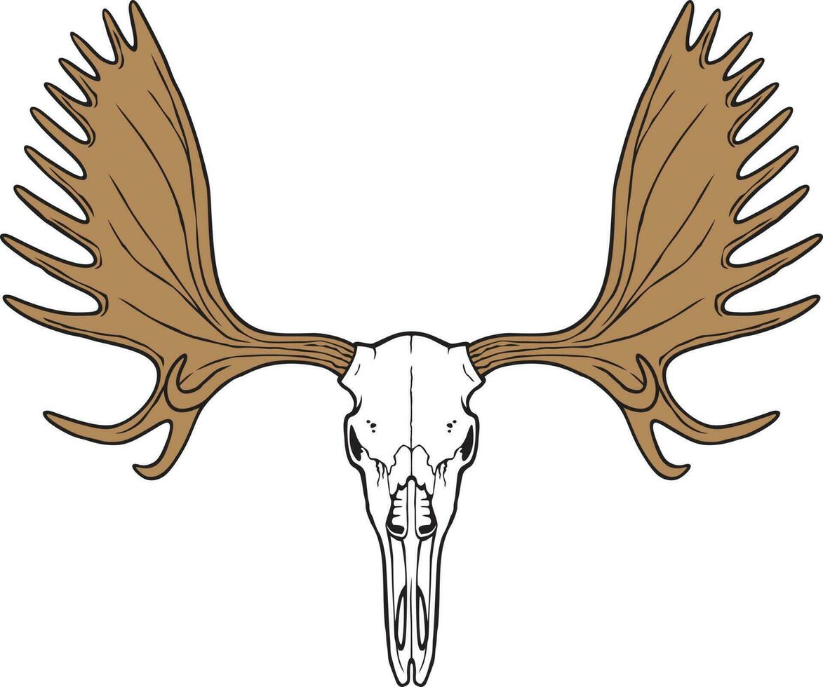 Moose Skull Color. Vector Illustration.