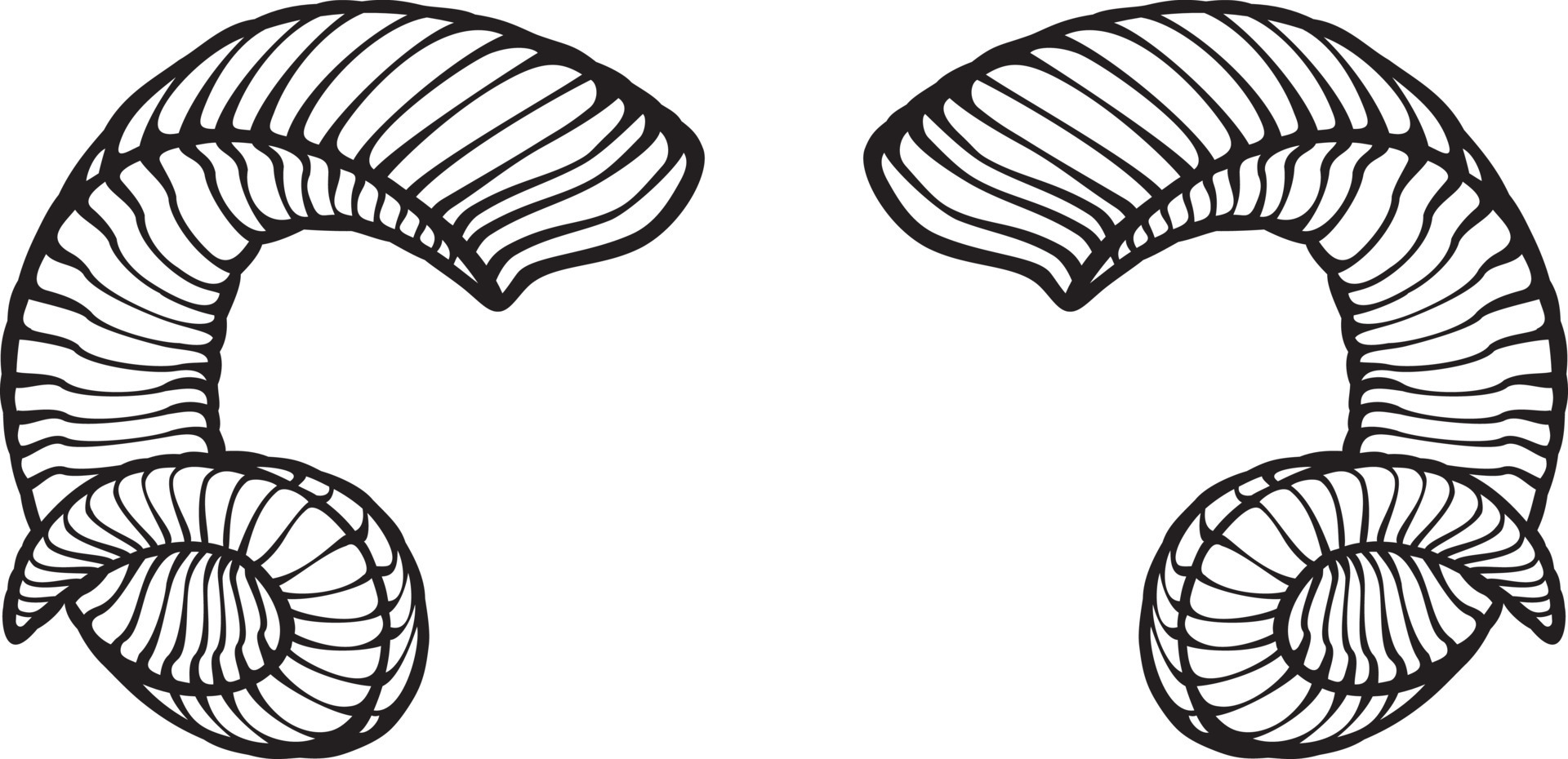 Ram Horns Black and White. Vector Illustration. 23793582 Vector Art at