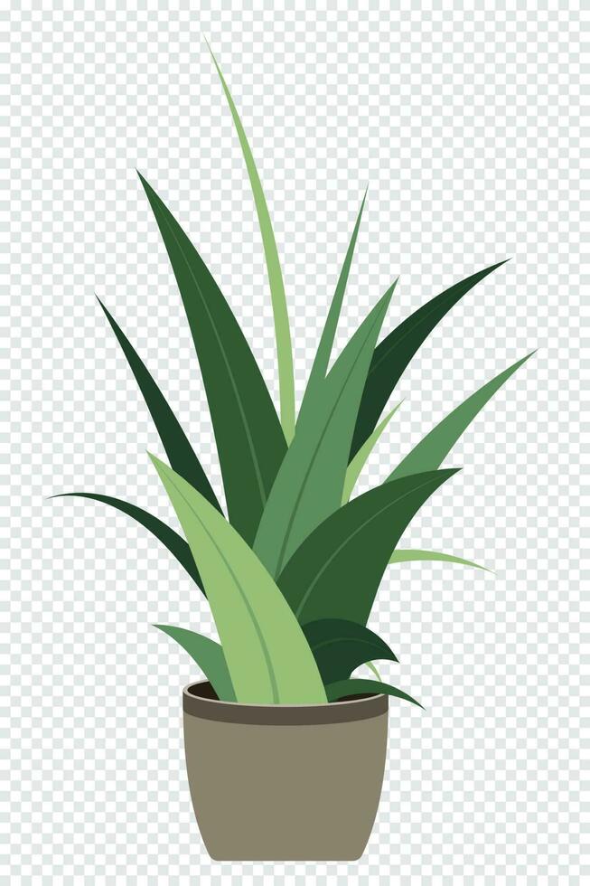 Home plant. Potted plant isolated. Decorative green houseplant in pot. Plant in pot. Vector illustration