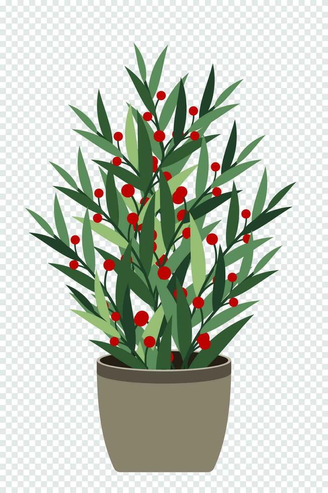 Home plant. Potted plant isolated. Decorative green houseplant in pot. Plant in pot. Vector illustration