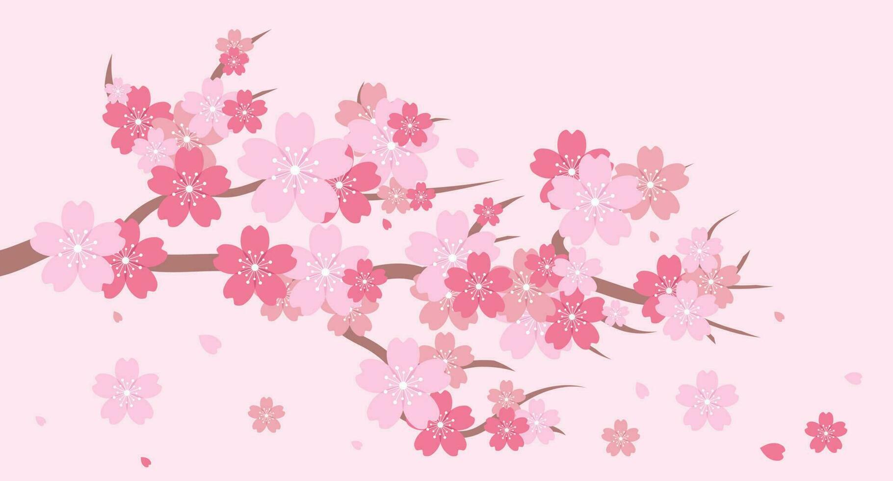 sakura florecer rama. Cereza florecer rama. Cereza florecer con rosado sakura rosado sakura flor antecedentes. que cae pétalos vector ilustración