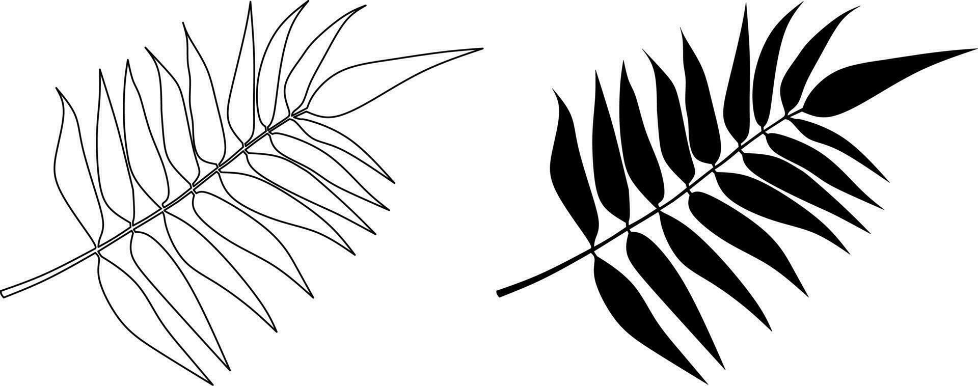 outline silhouette silver fern leaves icon set vector