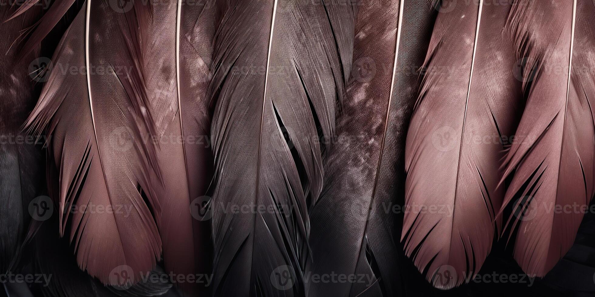 . . Photo realistic black feathers pattern background texture. Ellegant aesthetics luxury vibe. Graphic Art