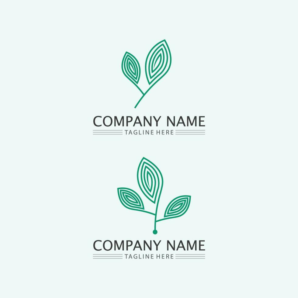 leaf logo design vector for nature symbol template editable,Green leaf logo ecology nature element vector icon.