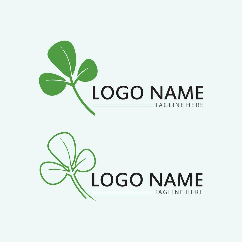 leaf logo design vector for nature symbol template editable,Green leaf logo ecology nature element vector icon.