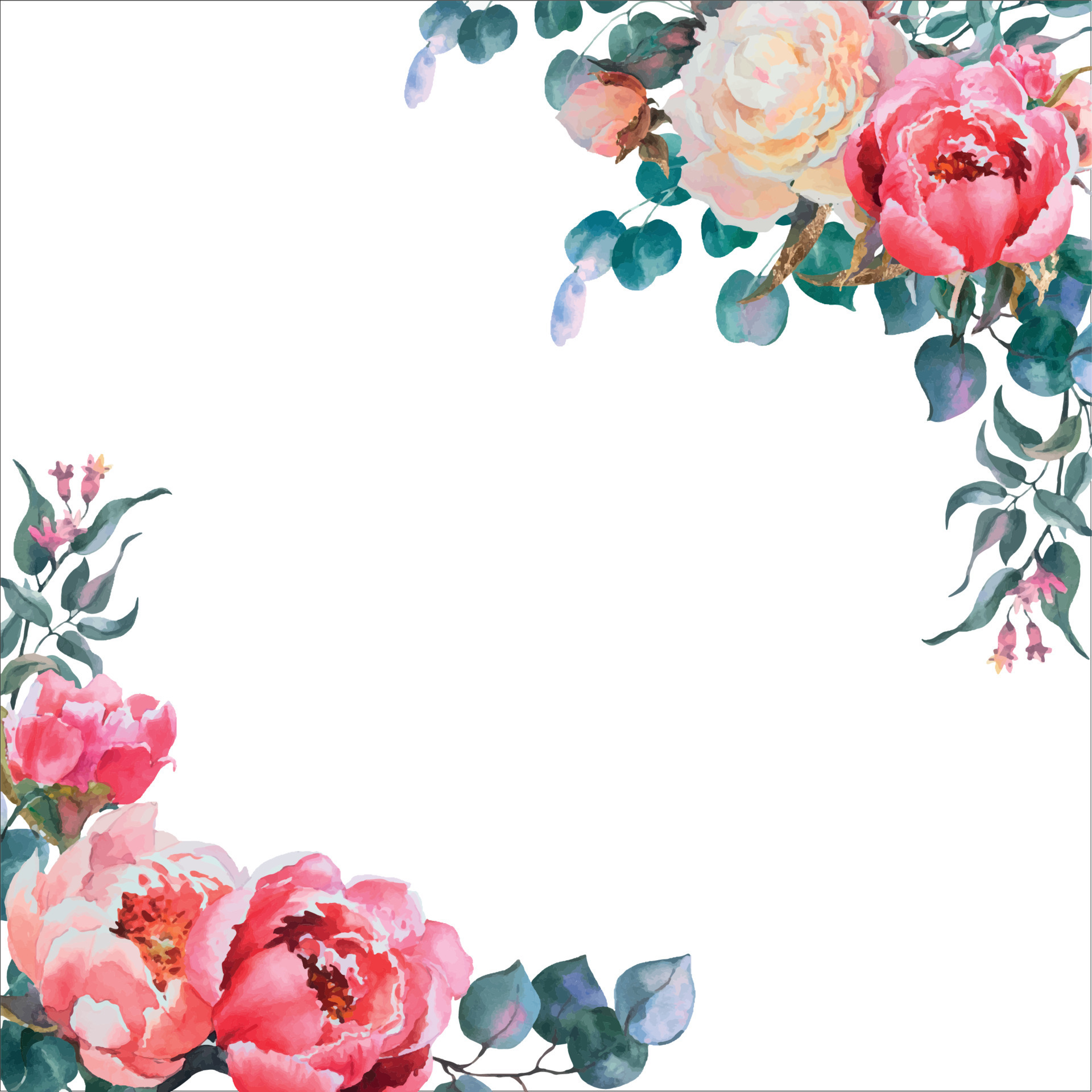 Watercolor vector square frame, template, pink and white peonies ...